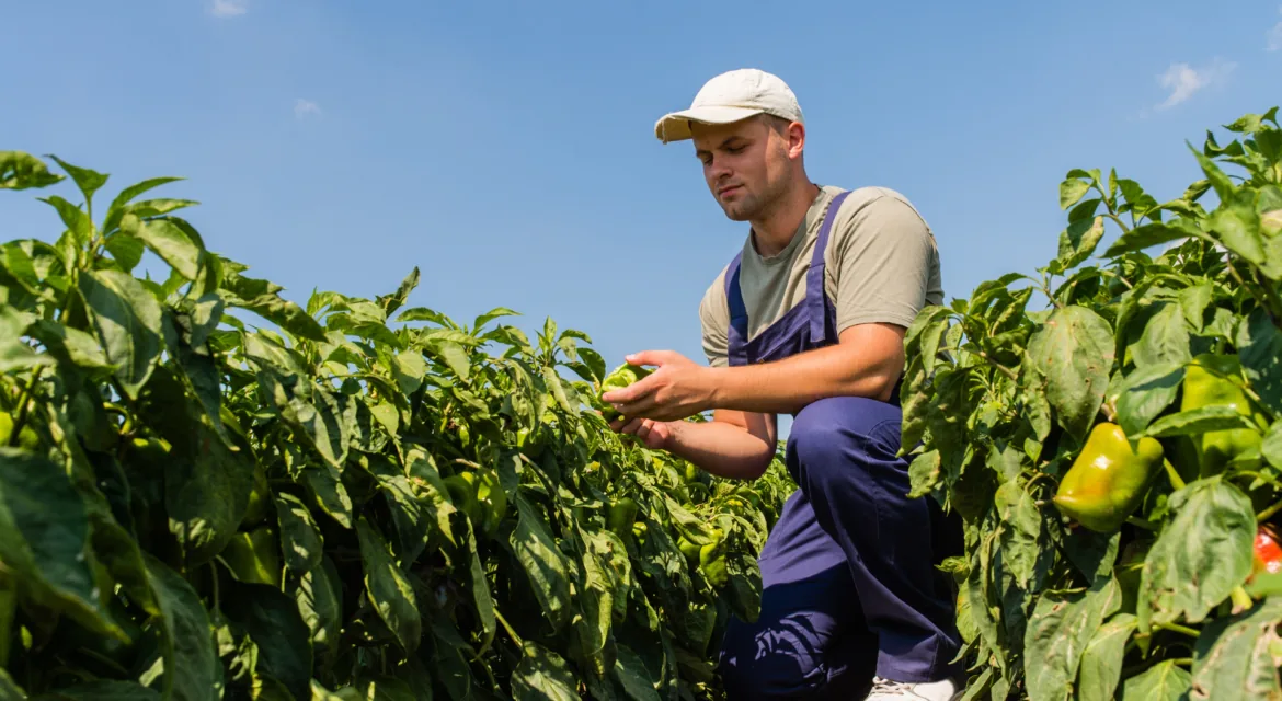 Australian grower preparing for winter season