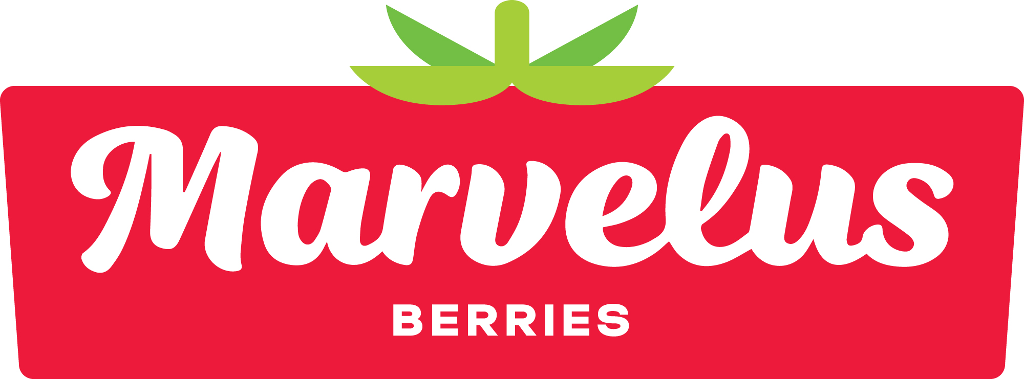 marvelus-berries-logo-col