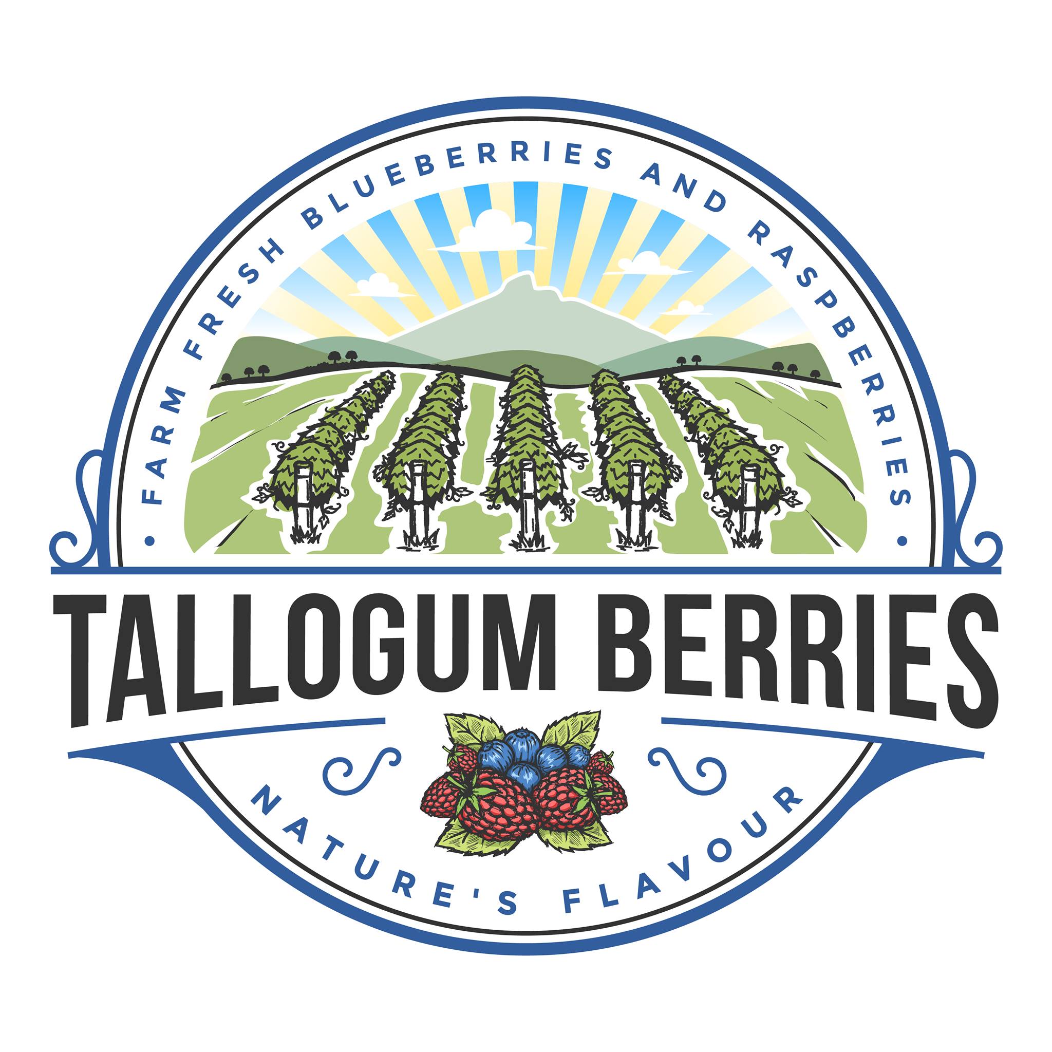 Tallogum Berries